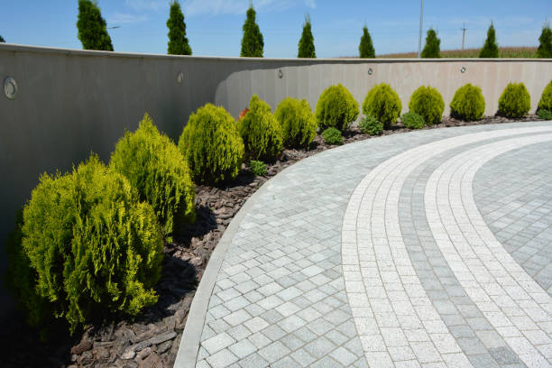 Best Driveway Pavers Near Me  in Meadowdale, WA
